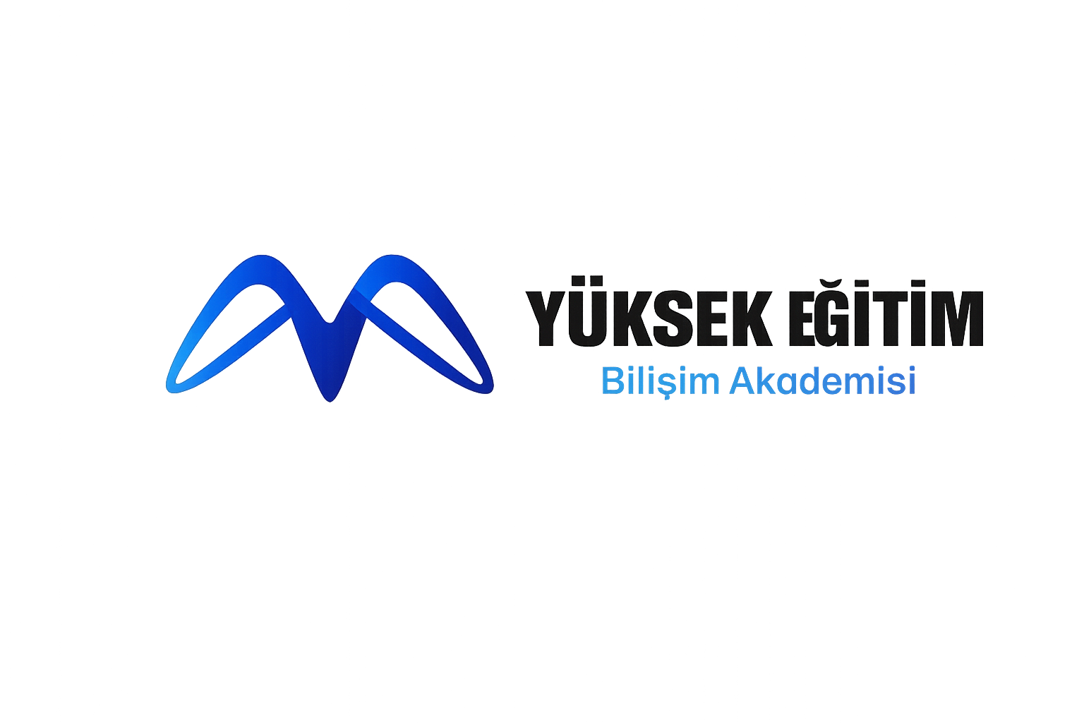 Yüksek Eğitim Bilişim Akademisi